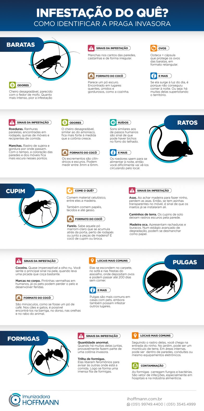 Infografía - Cómo identificar el parásito invasor Infografía - Cómo identificar el parásito invasor