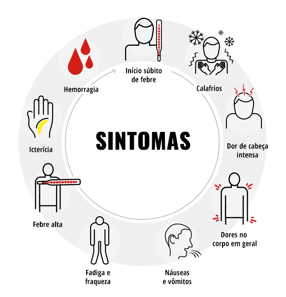 síntomas de fiebre amarilla escalofríos dolor de cabeza ictericia sangrado fiebre alta