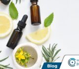Aprende recetas caseras contra insectos y ratones
