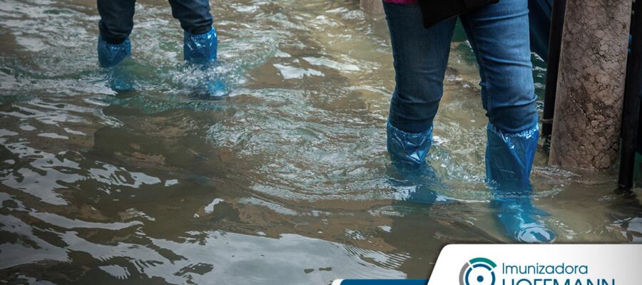 Cómo cuidar tu salud después de la inundación
