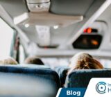Conozca más sobre el control de plagas automotrices y evite las plagas en los vehículos