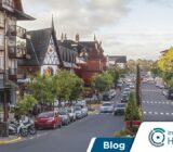 Control de plagas en Gramado: ¿a qué empresa llamar?