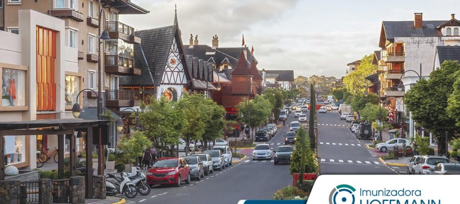 Control de plagas en Gramado: ¿a qué empresa llamar?
