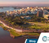 El control de plagas en Porto Alegre es necesario durante todo el año