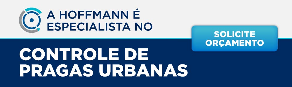 Presupuesto para desinfestación, saneamiento y saneamiento de cisternas