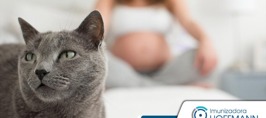 La toxoplasmosis en gatos amenaza la salud de toda la familia
