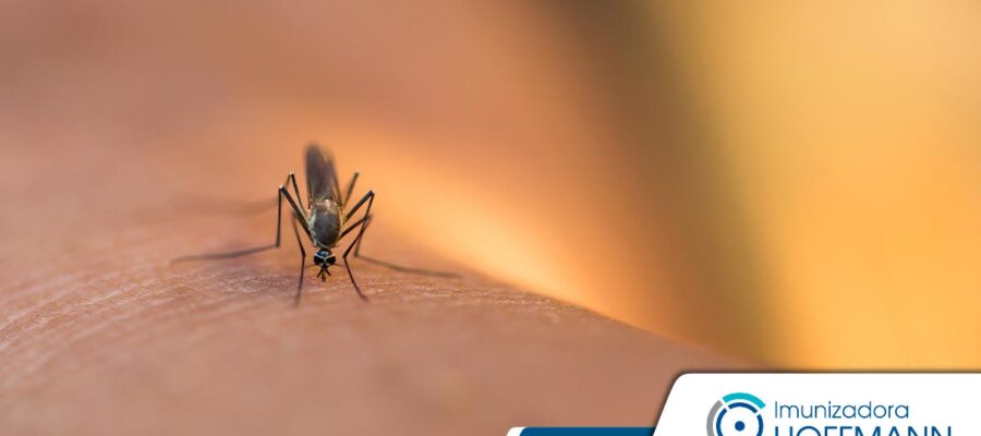 Repelentes de mosquitos naturales para usar en casa