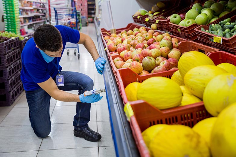 Aplicación de gel para control de hormigas.