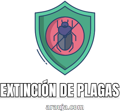 arauja